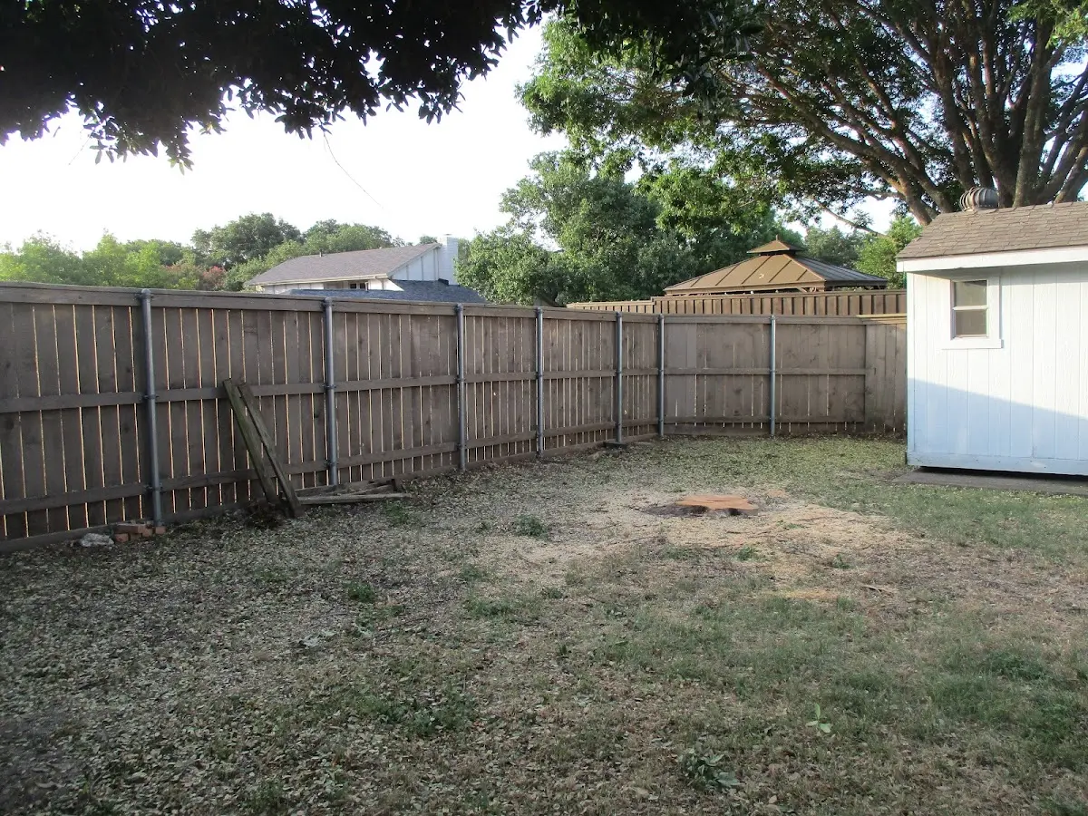 Cleared yard after professional tree removal in Maryknoll