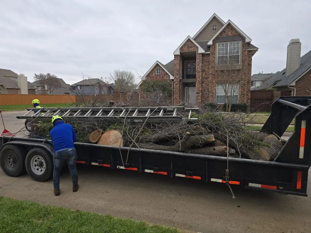 Expert Tree Removal with proper safety equipment in Maryknoll